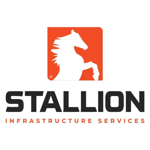 Stallion  photo