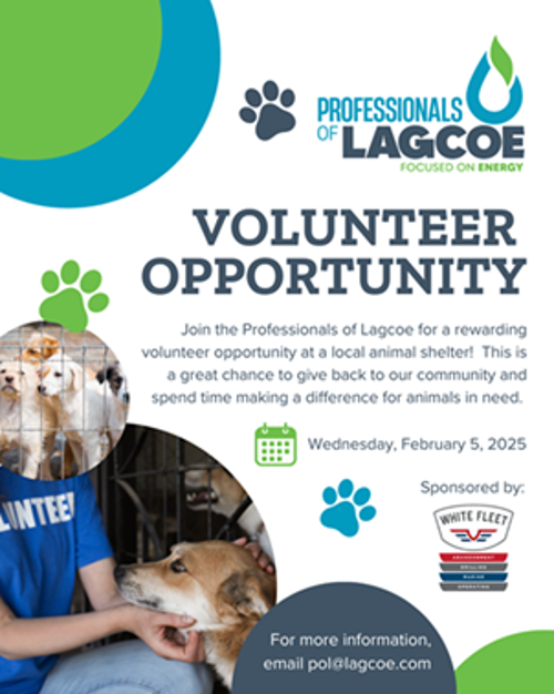 PoL Volunteer at Animal Shelter image